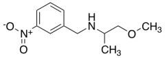 (2-methoxy-1-methylethyl)(3-nitrobenzyl)amine