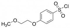 4-(2-Methoxyethoxy)benzenesulfonyl Chloride