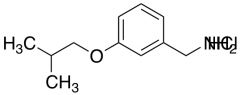 [3-(2-methylpropoxy)phenyl]methanamine