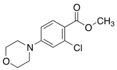 Methyl 2-Chloro-4-morpholinobenzenecarboxylate