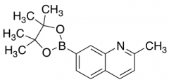 2-Methylquinoline-7-boronic Acid Pinacol Ester