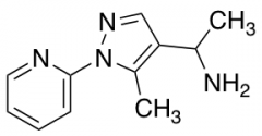 1-[5-methyl-1-(pyridin-2-yl)-1H-pyrazol-4-yl]ethan-1-amine