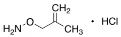 O-(2-Methylallyl)hydroxylamine hydrochloride