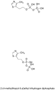 4-Methyl-5-oxyethyl Thiazol Diphosphate