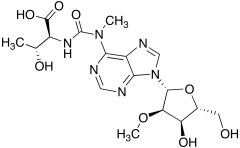 N6-Methyl-N6-threonylcarbamoyladenosine
