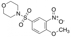 4-[(4-Methoxy-3-nitrobenzene)sulfonyl]morpholine