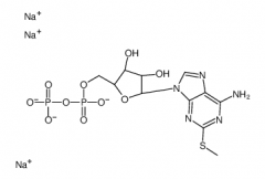 2-Methylthio-ADP Trisodium Salt