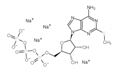 2-Methylthioadenosine Triphosphate Sodium Salt