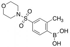 2-Methyl-4-(morpholinosulfonyl)phenylboronic Acid