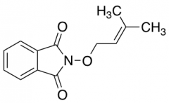 2-(3-Methylbut-2-enyloxy)isoindoline-1,3-dione