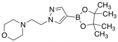 1-(2-Morpholinoethyl)-1H-pyrazole-4-boronic Acid Pinacol Ester