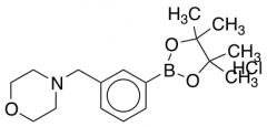 3-[(Morpholino)methyl]phenylboronic Acid Pinacol Ester Hydrochloride