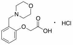 [2-(Morpholin-4-ylmethyl)phenoxy]acetic Acid Hydrochloride