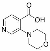 3-Morpholinoisonicotinic acid