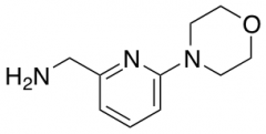 (6-Morpholinopyrid-2-yl)methylamine