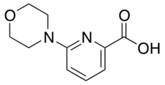 6-Morpholinopyridine-2-carboxylic Acid