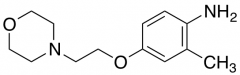 2-Methyl-4-[2-(4-morpholinyl)ethoxy]phenylamine
