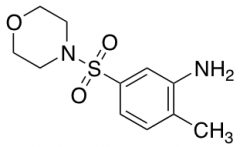 2-Methyl-5-(morpholine-4-sulfonyl)-phenylamine