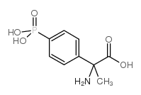 MPPG