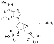 MRS 2500 Tetraammonium Salt