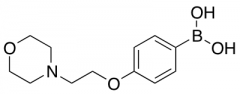 [4-(2-Morpholin-4-ylethoxy)phenyl]boronic Acid