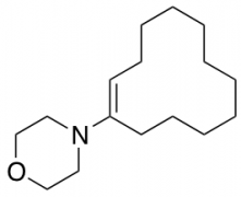 1-Morpholino-1-cyclododecene