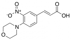 3-[4-(Morpholin-4-yl)-3-nitrophenyl]acrylic Acid