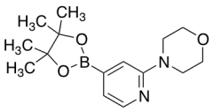 2-Morpholinopyridine-4-boronic Acid, Pinacol Ester