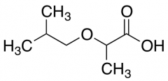 2-(2-methylpropoxy)propanoic acid