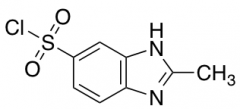 2-Methyl-1H-benzimidazole-5-sulfonyl Chloride