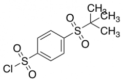 4-(2-Methylpropane-2-sulfonyl)benzene-1-sulfonyl Chloride