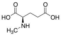 (R)-2-(Methylamino)pentanedioic acid