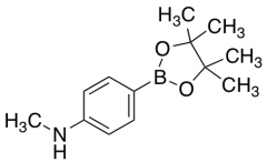 4-(N-Methylamino)phenylboronic Acid Pinacol Ester