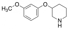 3-(3-Methoxyphenoxy)piperidine