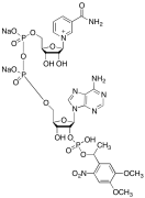 &beta;-NADPH Disodium Salt Derivative