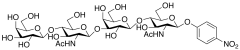 4-Nitrophenyl O-&beta;-D-Galactopyranosyl-(1&rarr;4)-O-2-(acetylamino)-2-deoxy-&am