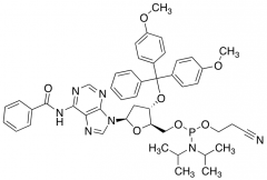 (N6-Benzoyl)-5'-O-[(N,N-diisopropylamino)-(2-cyanoethoxy)phosphinyl]-3'-O-(4,4'-dimethoxyt