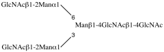 NGA2 Glycan