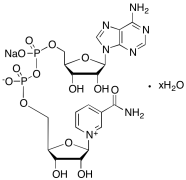 &beta;-Nicotinamide Adenine Dinucleotide Sodium Salt Hydrate