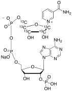 &beta;-NADP-13C5 Sodium Salt