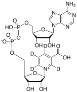 Nicotinic Acid Adenine Dinucleotide-d4