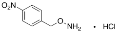 O-4-Nitrobenzylhydroxylamine Hydrochloride