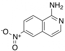 6-nitroisoquinolin-1-amine