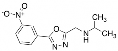 {[5-(3-Nitrophenyl)-1,3,4-oxadiazol-2-yl]methyl}(propan-2-yl)amine