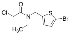 N-[(5-Bromothiophen-2-yl)methyl]-2-chloro-N-ethylacetamide