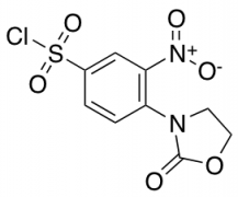 3-Nitro-4-(2-oxo-1,3-oxazolidin-3-yl)benzene-1-sulfonyl Chloride