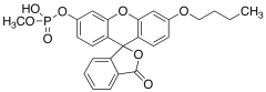 O-Methyl-O-(N-butylfluorescein)phosphate