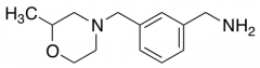 {3-[(2-methylmorpholin-4-yl)methyl]phenyl}methanamine