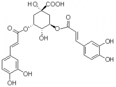 异绿原酸A（3,5-二咖啡酰奎宁酸）对照品