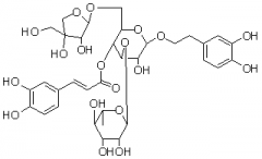 连翘酯苷B（连翘酯甙B）对照品